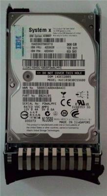 HD IBM 300GB 10K 6GBPS SAS 2.5IN SFF SLIM-HS SED