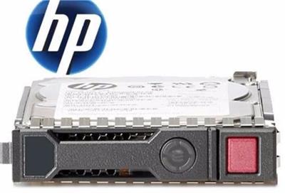 HD HP 2TB SATA 6G 7.2K 3.5'' MDL Hard Drive 